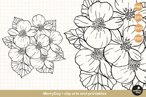 Begonia Flower Drawing Clip Art: A Versatile Addition to Your Creative Toolkit
