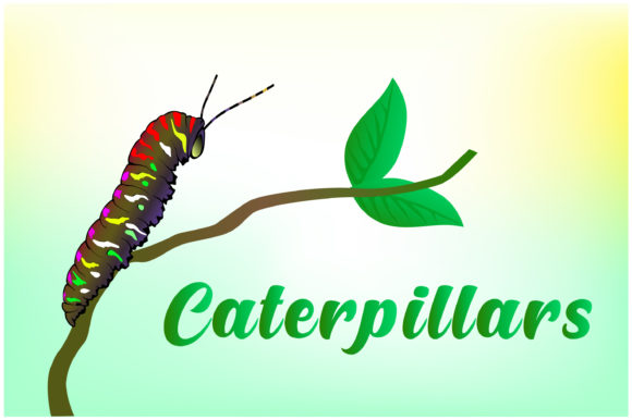 Caterpillars Hand Drawn Illustrations: A Versatile Resource for Creative Professionals