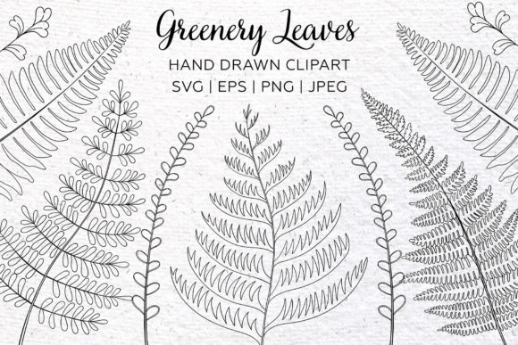 Greenery Clipart. Floral Leaf Design.