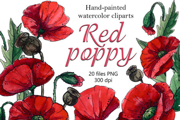 Red Poppy Flowers and Leaves Clipart for Creative Workflows