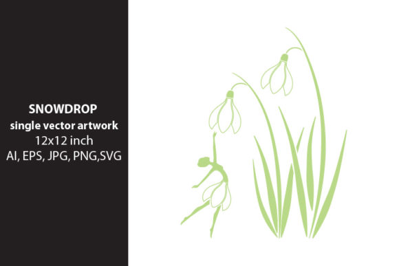 Snowdrop Flower - Single Vector Artwork