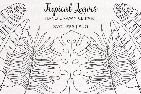 Tropical Palm Leaves Outline Clipart