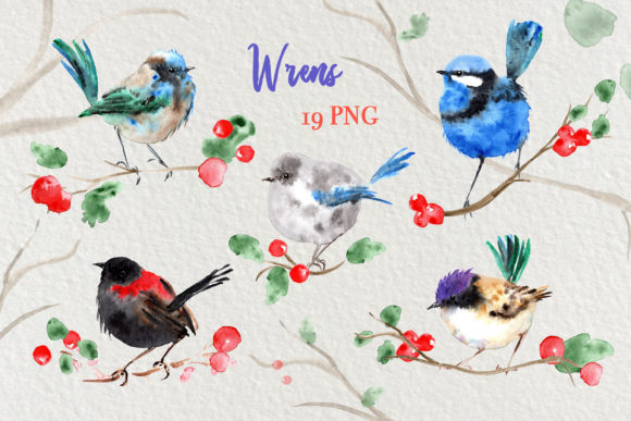 Watercolor Fairy Wren Birds Clip Art: A Versatile and Beautiful Design Resource