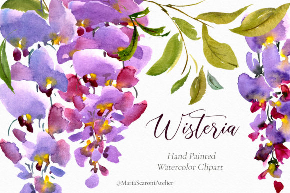 Watercolor Flowers Wisteria Clipart: A Versatile Artistic Resource for Creative Projects